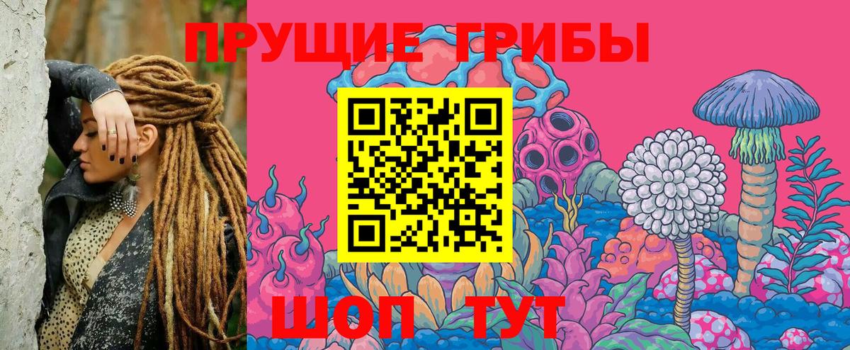 Псилоцибиновые грибы мухоморы  где продают наркотики  Волхов  Вход с VPN 