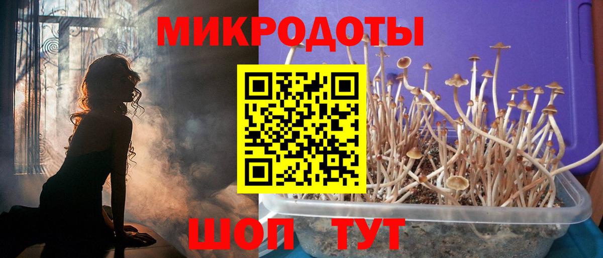 Галлюциногенные грибы Magic Shrooms Волхов